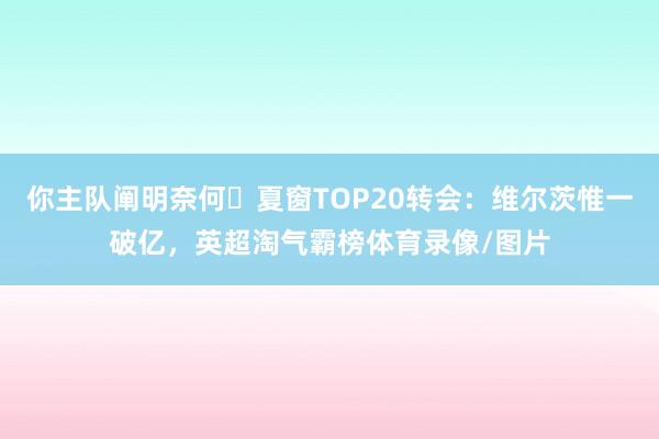 你主队阐明奈何❔夏窗TOP20转会：维尔茨惟一破亿，英超淘气霸榜体育录像/图片