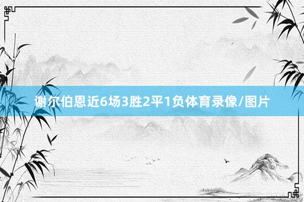 谢尔伯恩近6场3胜2平1负体育录像/图片