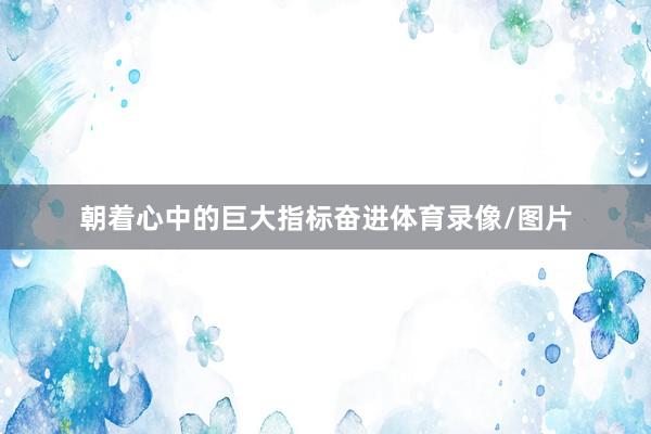 朝着心中的巨大指标奋进体育录像/图片