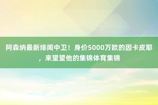 阿森纳最新绯闻中卫！身价5000万欧的因卡皮耶，来望望他的集锦体育集锦