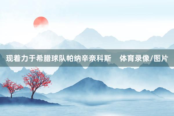 现着力于希腊球队帕纳辛奈科斯    体育录像/图片