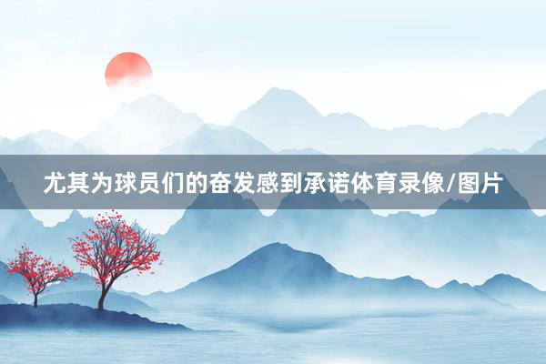 尤其为球员们的奋发感到承诺体育录像/图片