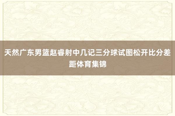 天然广东男篮赵睿射中几记三分球试图松开比分差距体育集锦