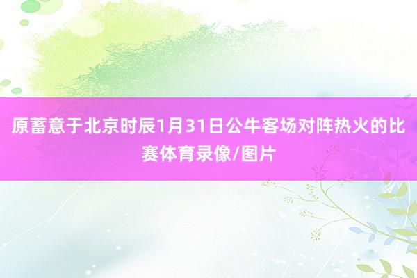 原蓄意于北京时辰1月31日公牛客场对阵热火的比赛体育录像/图片